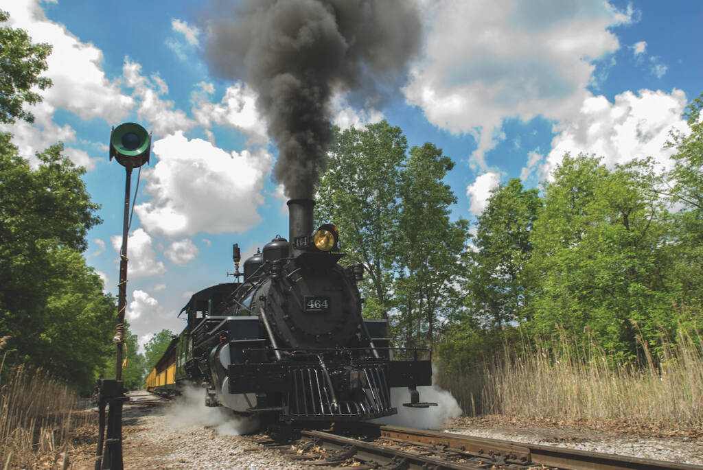Black steam locomotive pulling yellow excursion passenger cars.
