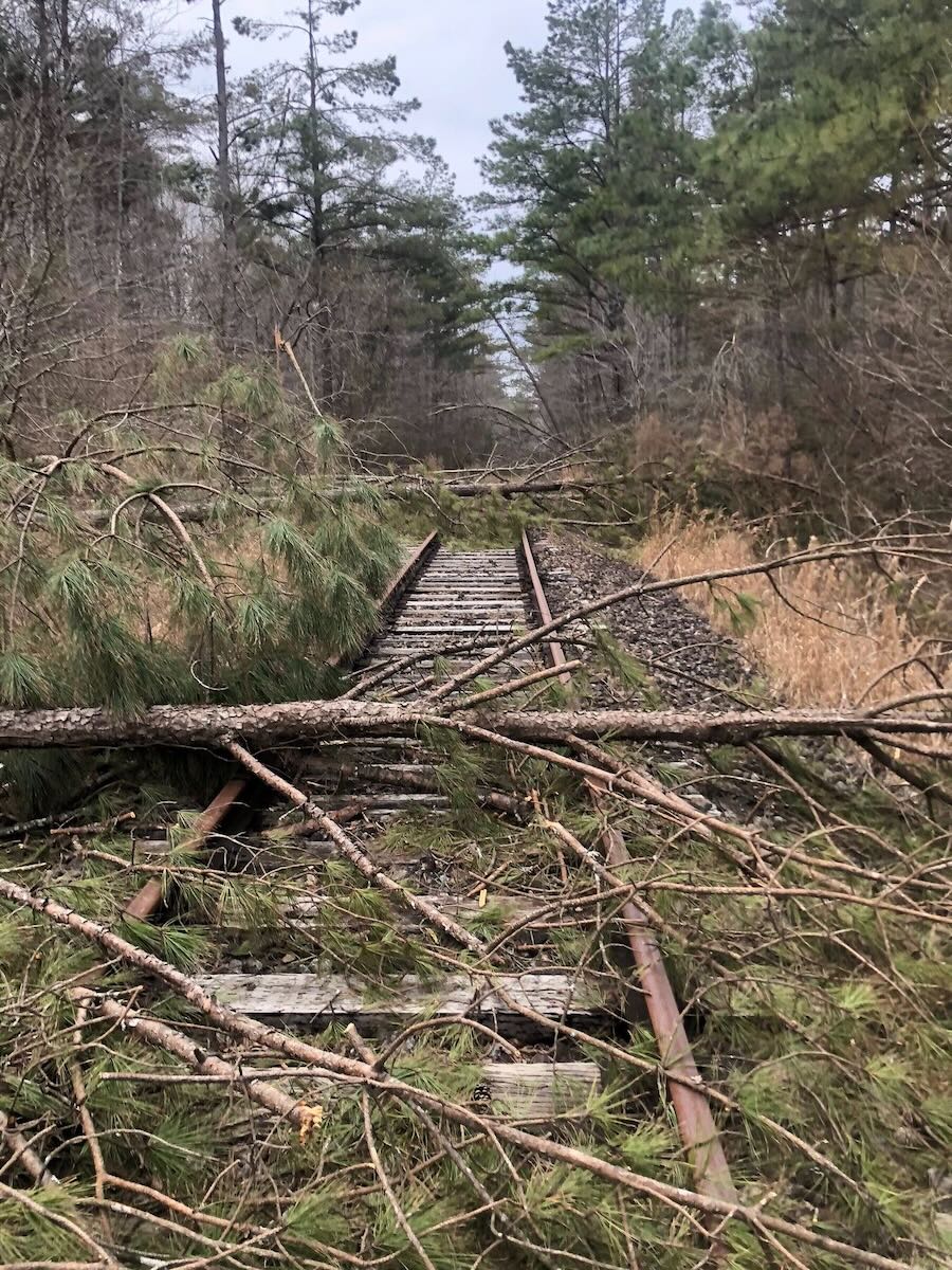 Downed trees across rail line